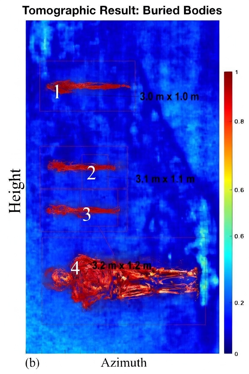 Tomographic scan showing four buried skeletal structures exceeding 3 metres